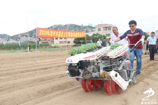 此次活动由漳浦县农业机械服务中心主办,由漳浦县合帮胜农机专业